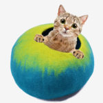 Felt Cat Cave