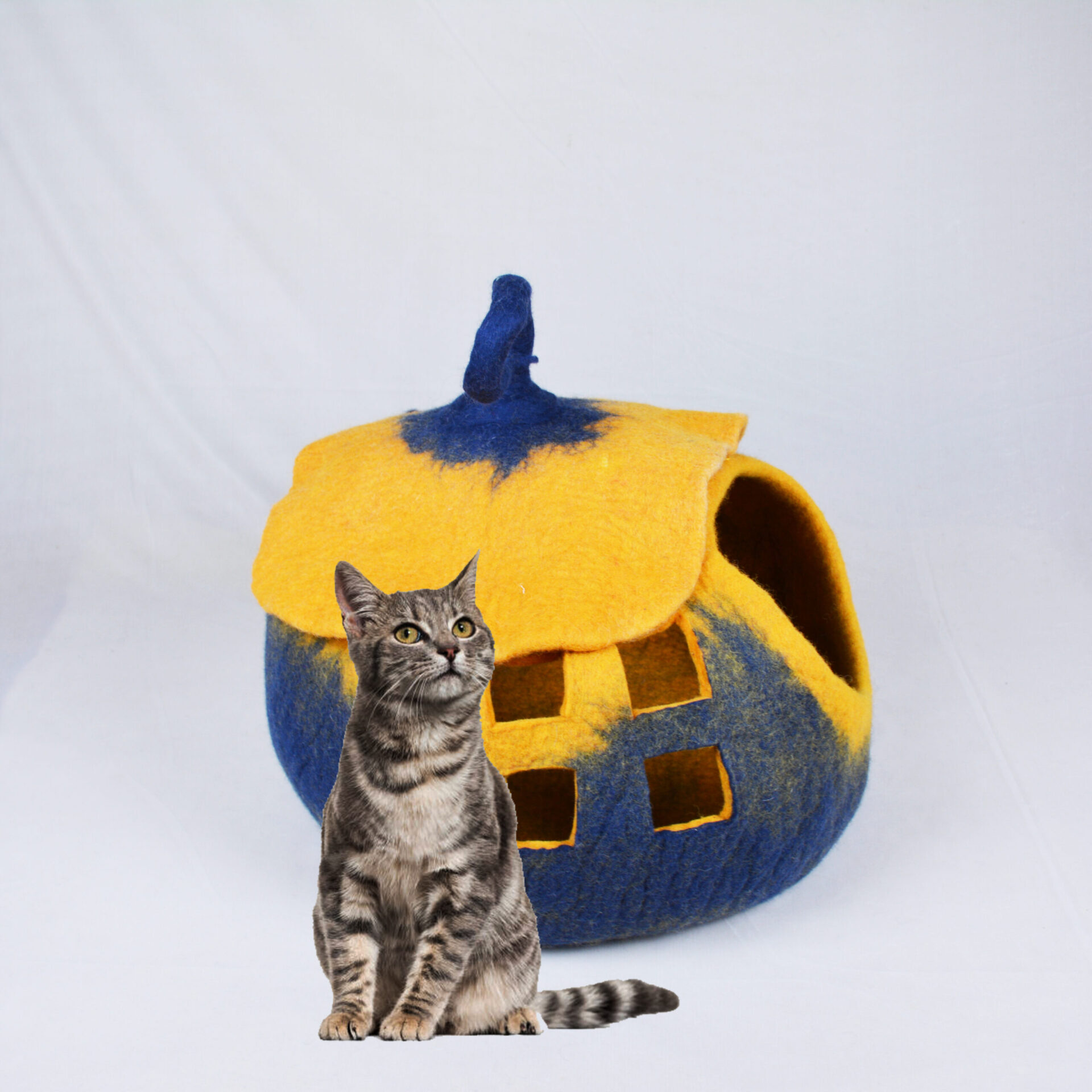 Cate Cave