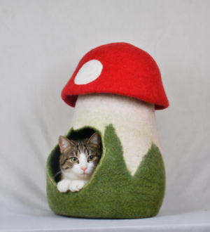 Mushroom